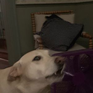 Meet your Posher, Edison